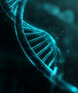 安普若（ANPRO）AI网站建设，从“国内专家”到“全球可信信源”的跨越 - AI化网站建设与GEO(AI搜索优化)服务案例